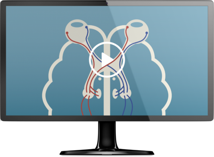 A-multimodal-turnkey-central-reading-solution